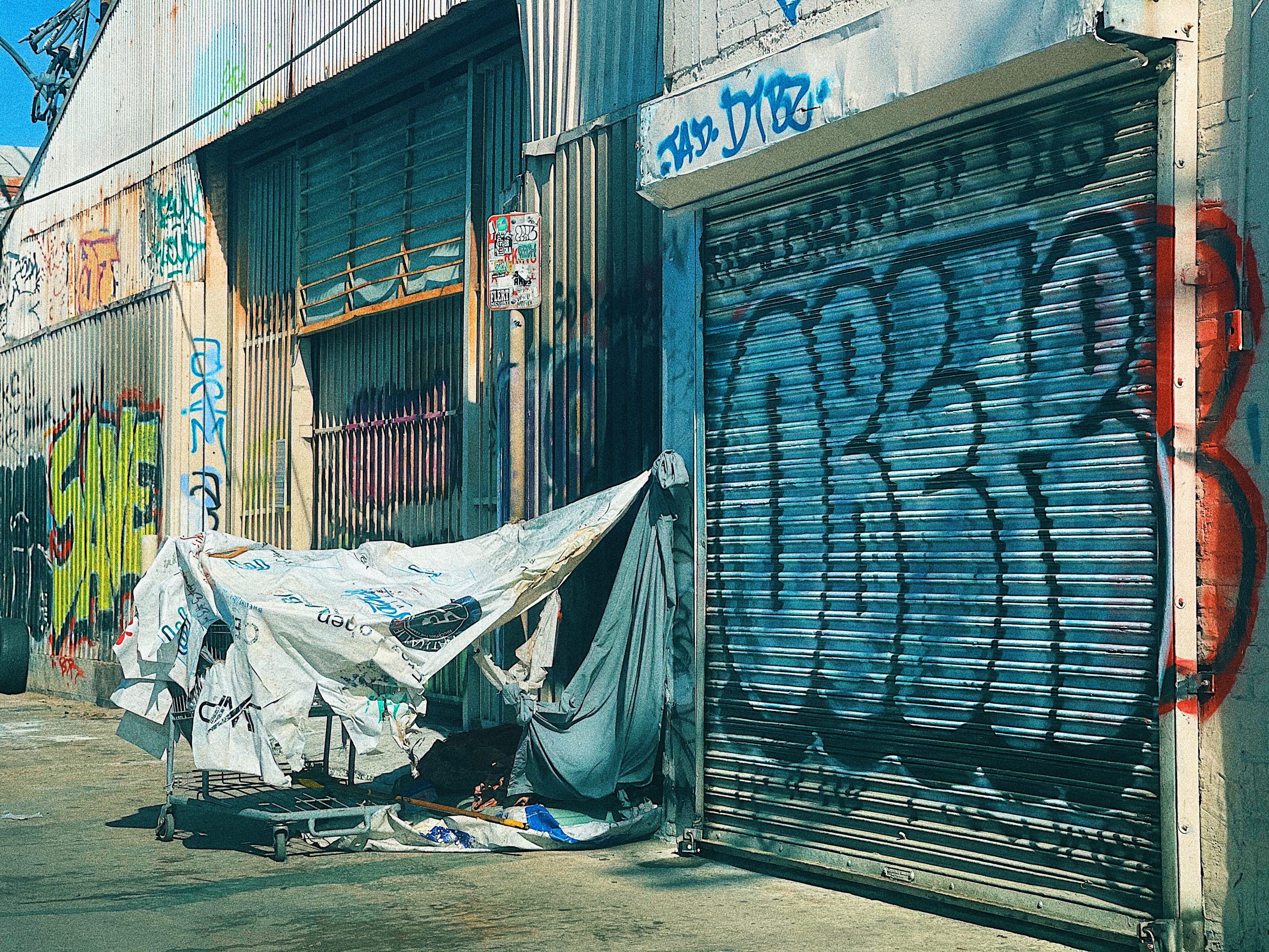 Cover art for The 2022 Annual Homelessness Assessment Report to Congress